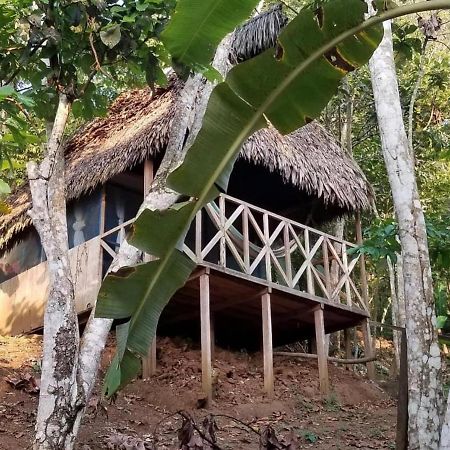 Katari Center Vila Tarapoto Exterior foto