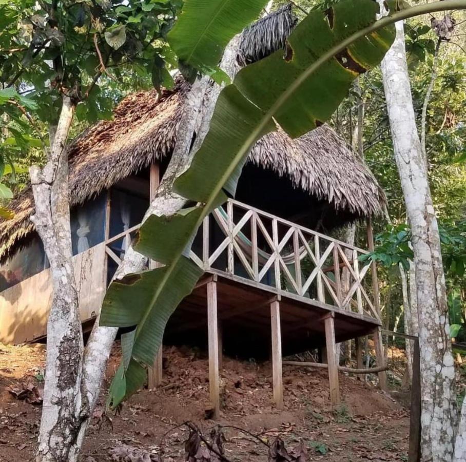 Katari Center Vila Tarapoto Exterior foto